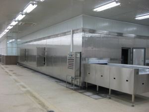 Parastā plāksnīšu tipa vienkāršā ātrās sasaldēšanas mašīna