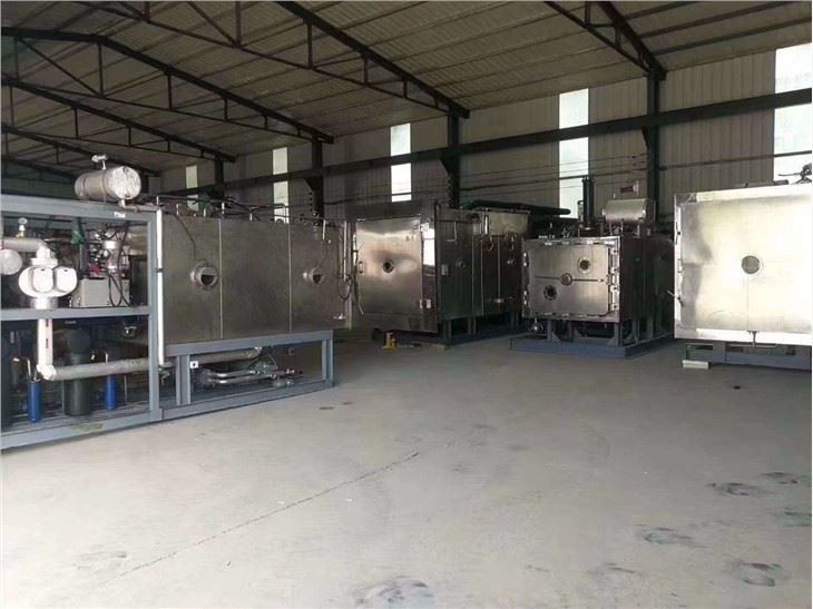 China Pharmaceutical freeze dryer Dryer