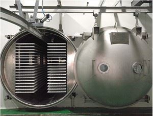 400 kg ietilpības vidējā pārtikas saldēšanas žāvētājs