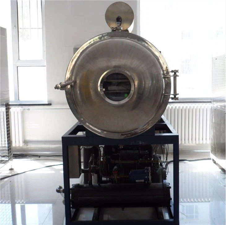 China Vacuum Food Freeze Dryer