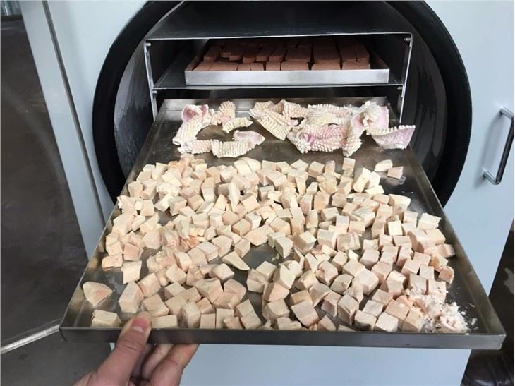 Customized Vacuum Food Freeze Dryer