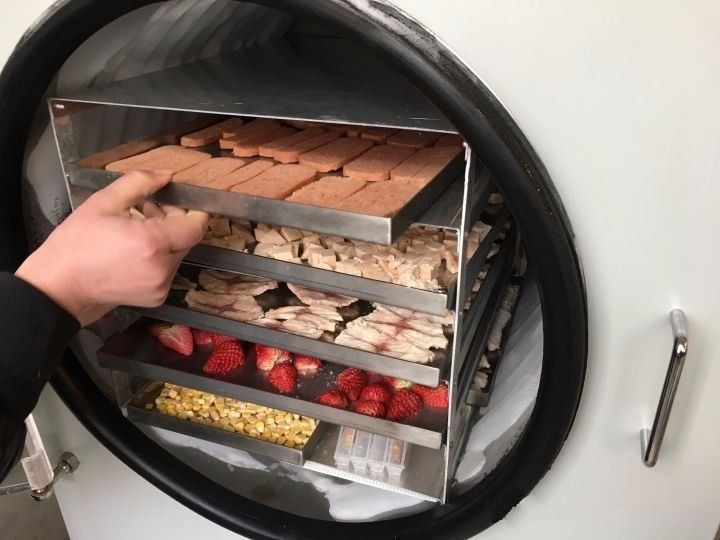 China Vacuum Food Freeze Dryer