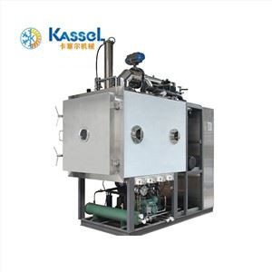 Ēdamo sēņu saldēšanas žāvētājs