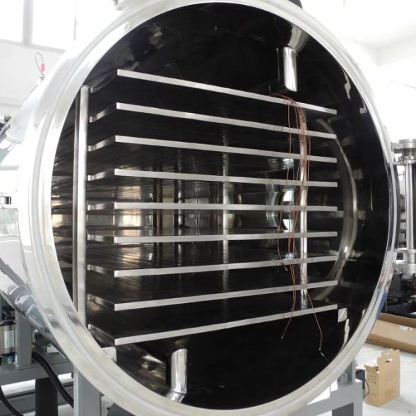 buy Freezing Dryer